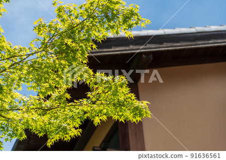 Japanese style house Japanese style house 91636561