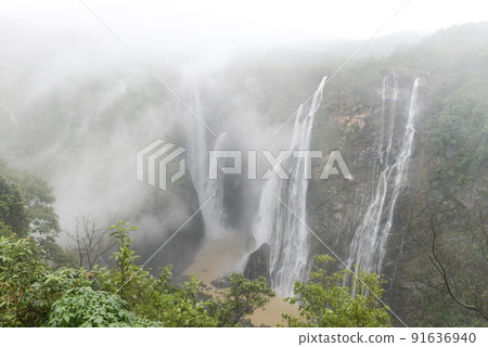 Mist and lush green around Jog waterfalls in Karnataka in south India 91636940