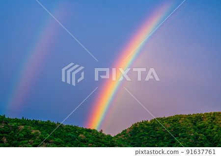 Early morning rainbow 91637761