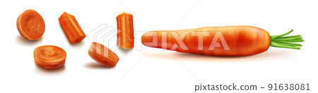 Carrot with green leaves vector isolated Carrot with green leaves vector isolated 91638081