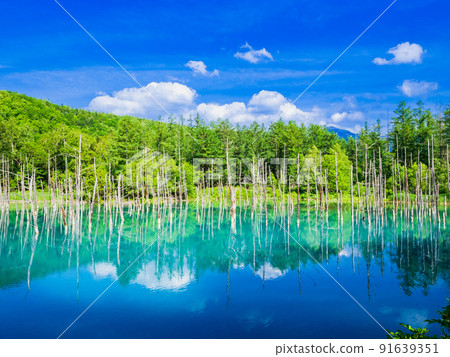 Summer Hokkaido Blue Pond Biei Summer Hokkaido Blue Pond Biei 91639351