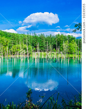 Summer Hokkaido blue pond vertical composition Summer Hokkaido blue pond vertical composition 91639355