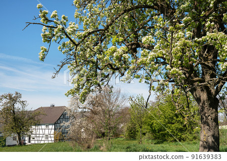 Springtime, Bergisches Land, Germany 91639383