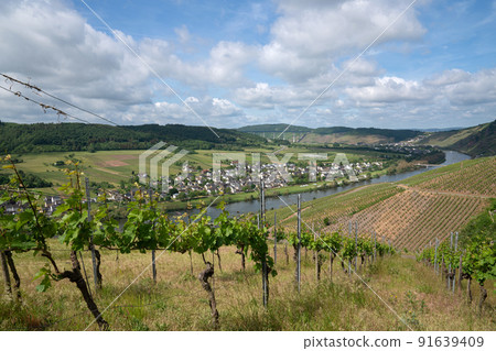 Moselle river close to Traben Trarbach, Germany Moselle river close to Traben Trarbach, Germany 91639409