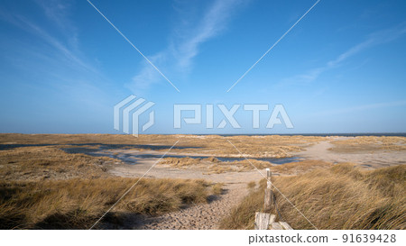 Sand dunes of Sylt, North Frisia, Germany Sand dunes of Sylt, North Frisia, Germany 91639428