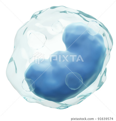 Monocyte . White blood cells with transparency membrane and kidney - shaped or horse shoe - shaped nucleus and many vacuole . Isolated white background . 3D render . Monocyte . White blood cells with transparency membrane and kidney - shaped or horse shoe - shaped nucleus and many vacuole . Isolated white background . 3D render . 91639574