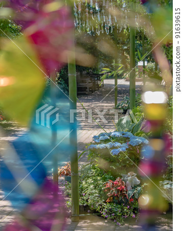 Summer landscape of the garden Wind chime Tanabata 91639615