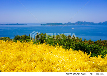 Aji Ryuozan Park overlooking the Seto Inland Sea 91640402