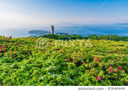 (Kanagawa Prefecture) Yugawara Satsuki no Sato Sunrise (Kanagawa Prefecture) Yugawara Satsuki no Sato Sunrise 91640444