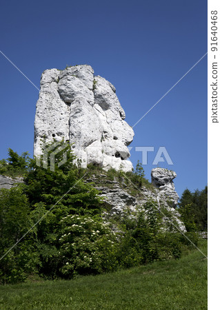 Bear - a rock near the castle in Ogrodzieniec 91640468