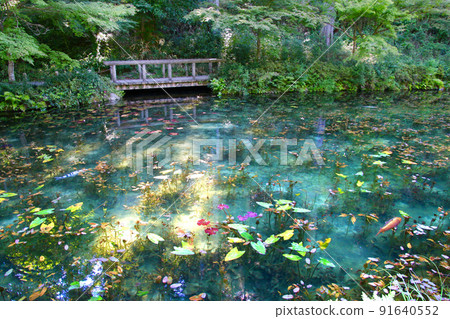 莫奈池，莫奈池（岐阜縣關市） 91640552