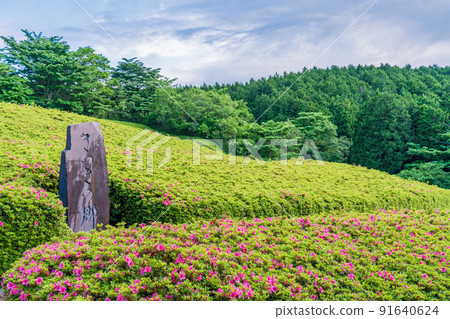 (神奈川縣)湯河原小月之裡 (神奈川縣)湯河原小月之裡 91640624