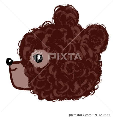 毛茸茸的熊 91640657