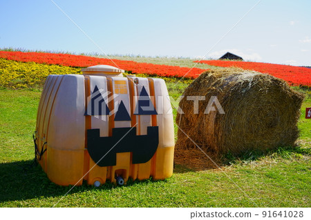 A grass roll placed in a flower field in the blue sky and a pumpkin for Halloween ① A grass roll placed in a flower field in the blue sky and a pumpkin for Halloween ① 91641028