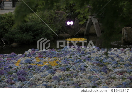水下中國阿瑪比基觀音 水下中國阿瑪比基觀音 91641847