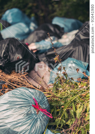Closeup shot of a pile of trash bags - pollution concept Closeup shot of a pile of trash bags - pollution concept 91641980
