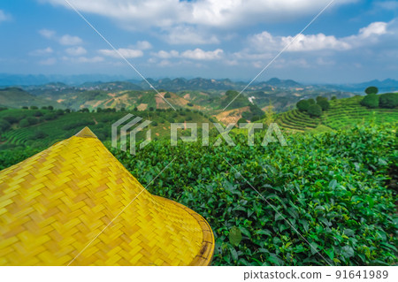 Beautiful closeup of an Asian conical hat against a foliage forest and mountains 91641989