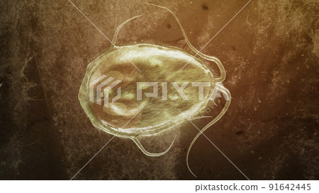 Giardia lamblia parasite as Closup - 3D Rendering 91642445