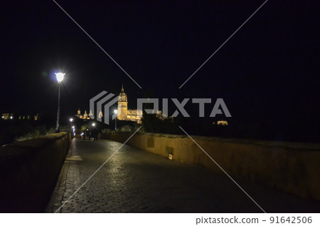 Salamanca Cathedral and Roman Bridge at night (Spain) Salamanca Cathedral and Roman Bridge at night (Spain) 91642506