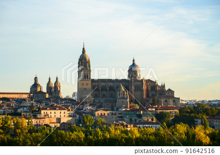 Salamanca Cathedral in the morning sun (Salamanca, Spain) 91642516