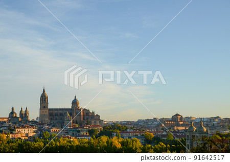 Salamanca Cathedral in the morning sun (Salamanca, Spain) 91642517