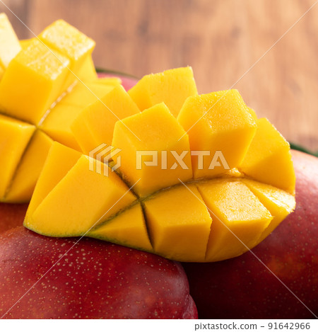 Mango Wood Wooden Fresh Taiwan Fruit Mango fruit Taiwan マンゴー Mango Wood Wooden Fresh Taiwan Fruit Mango fruit Taiwan マンゴー 91642966
