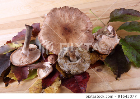 Mushrooms on table 91643077