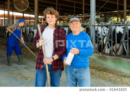 Milk farm workers in cowshed 91643805