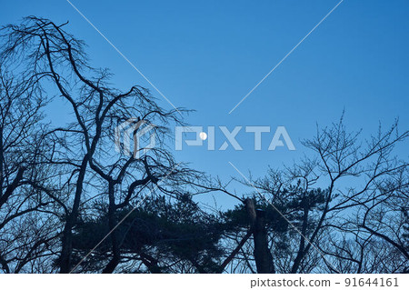 Akita City, Akita Prefecture Snow Senshu Park Moon Akita City, Akita Prefecture Snow Senshu Park Moon 91644161