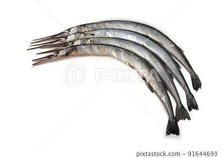 Garfishes isolated on white Garfishes isolated on white 91644693
