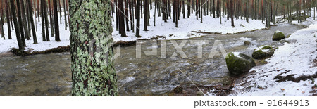 Eresma River, Sierra de Guadarrama National Park, Spain 91644913