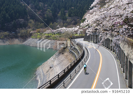 [東京]春天的奧多摩湖景觀 91645210