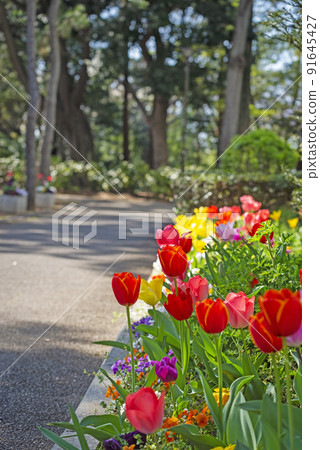 Okurayama Memorial Hall 91645427