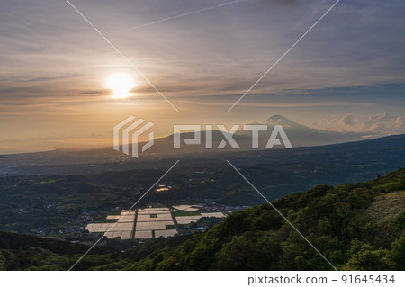 (Shizuoka Prefecture) Paddy field and Mt. Fuji sunset view in Tanna basin 91645434