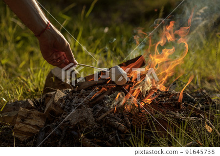 Roasting marshmallow on skewer over the bonfire Roasting marshmallow on skewer over the bonfire 91645738