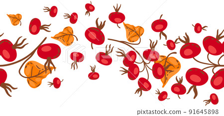 Seamless pattern of branches with rose hips. Image of autumn plant. 91645898
