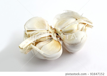 Garlic 91647152