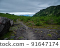 Mt. Asama to the forest under Mt. Sotowa 91647174