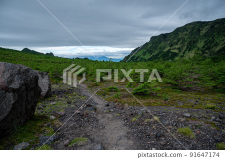 Mt. Asama to the forest under Mt. Sotowa 91647174