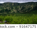 Mt. Asama overlooking Sotowayama and the forest 91647175