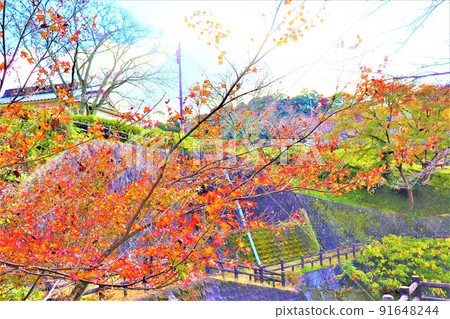 Negoro-ji寺秋景 Negoro-ji寺秋景 91648244