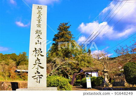 Negoro-ji Temple Autumn scenery 91648249