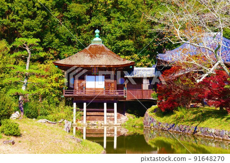 Negoro-ji寺秋景 91648270