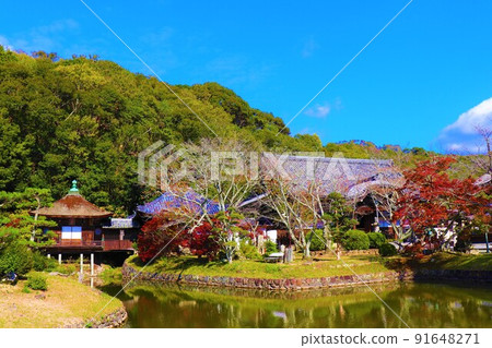 Negoro-ji Temple Autumn scenery Negoro-ji Temple Autumn scenery 91648271
