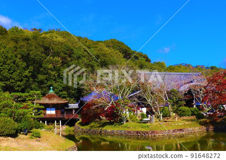Negoro-ji Temple Autumn scenery Negoro-ji Temple Autumn scenery 91648272