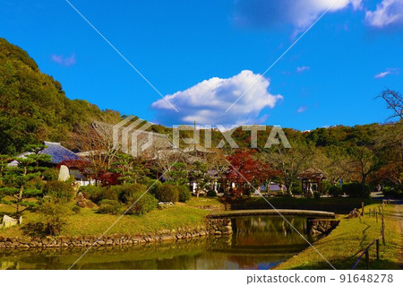 Negoro-ji Temple Autumn scenery 91648278