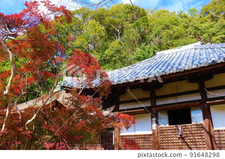 Negoro-ji Temple Autumn scenery Negoro-ji Temple Autumn scenery 91648298
