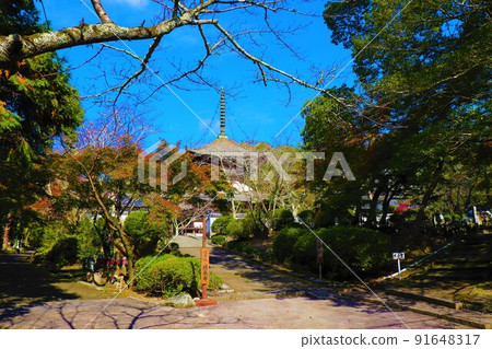 Negoro-ji Temple Autumn scenery 91648317