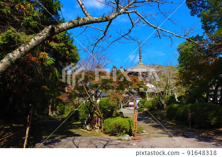 Negoro-ji寺秋景 Negoro-ji寺秋景 91648318