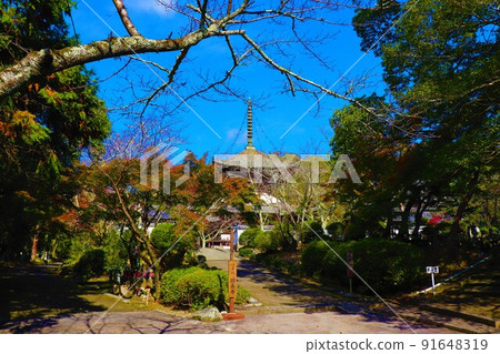 Negoro-ji寺秋景 91648319